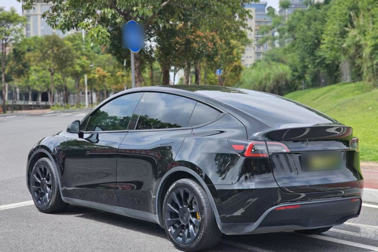 Tesla Model Y 2023 #5 Tesla Model Y 2023 car image #5