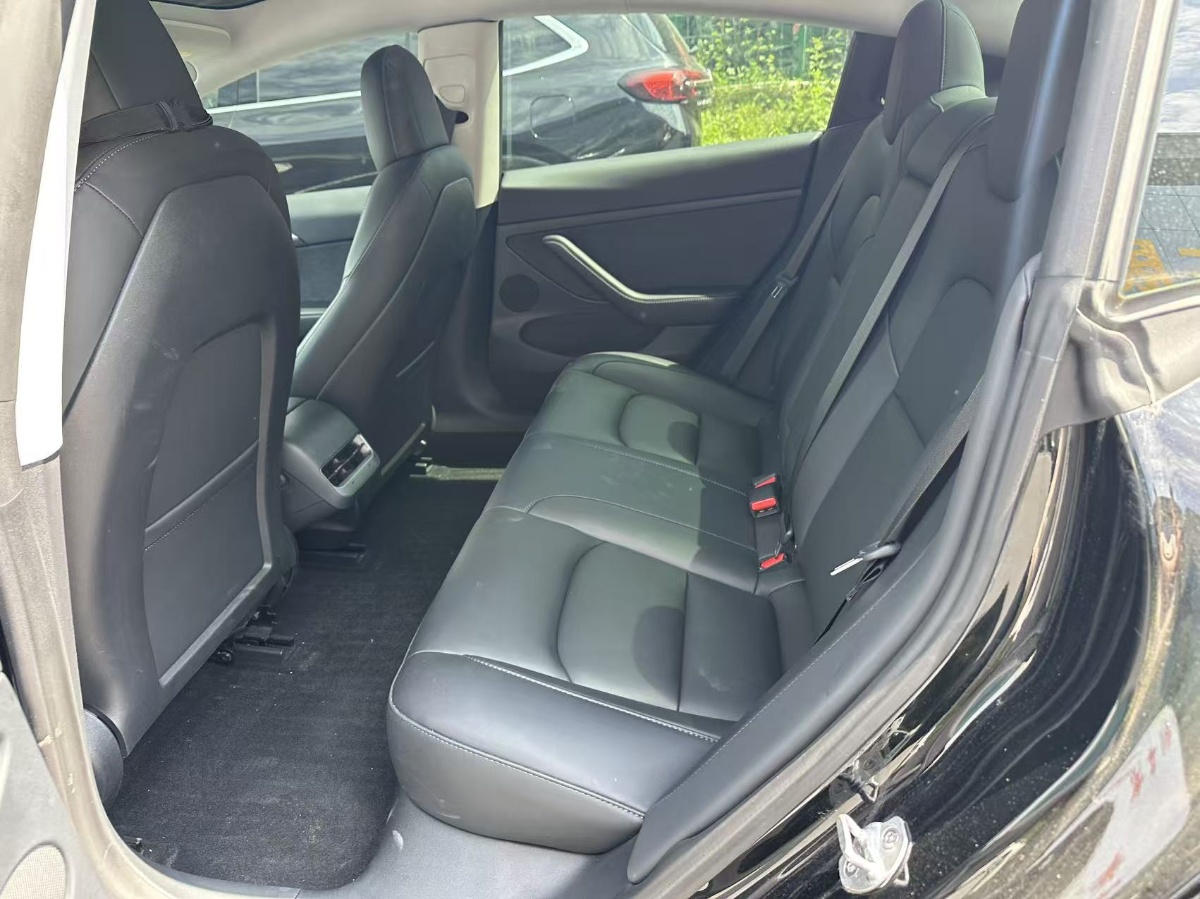 Tesla Model 3 2023 #3 Tesla Model 3 2023 car image #3