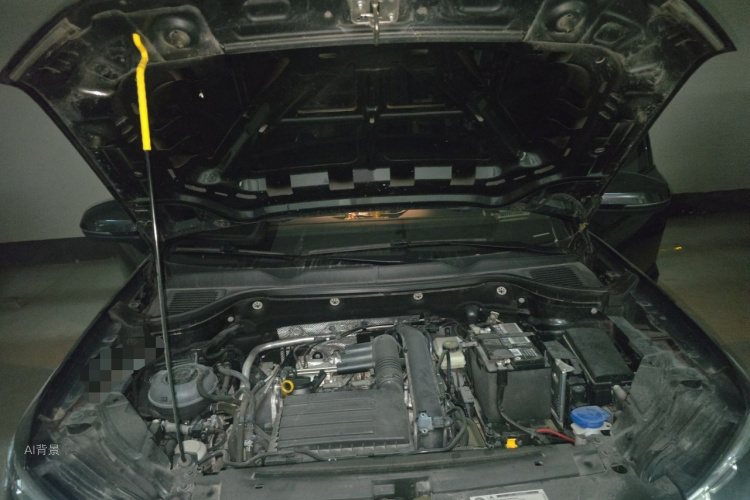 Volkswagen Tharu 2021 car image #22