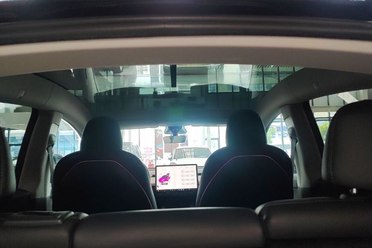 Tesla Model Y 2022 car image #20