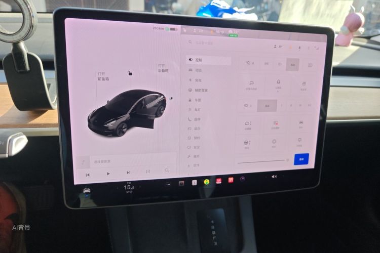 Tesla Model 3 2021 #13 Tesla Model 3 2021 car image #13