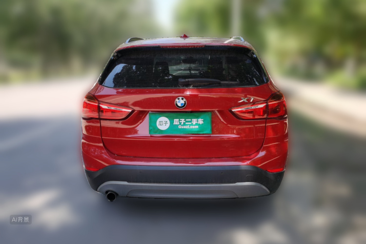 BMW X1 2017 car image #6