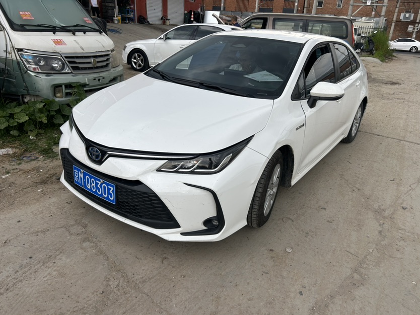Toyota Corolla 2024 Toyota Corolla 2024 car image