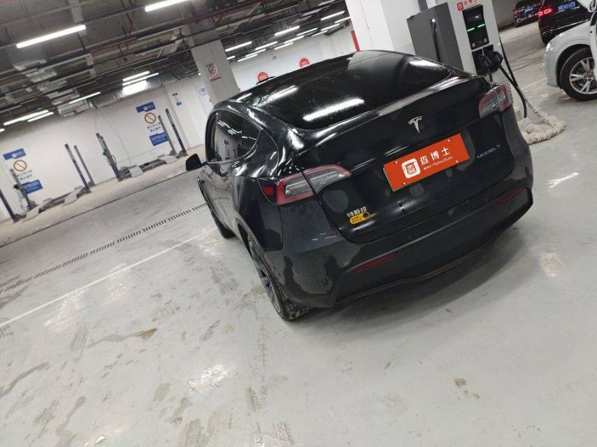 Tesla Model Y 2023 #3 Tesla Model Y 2023 car image #3