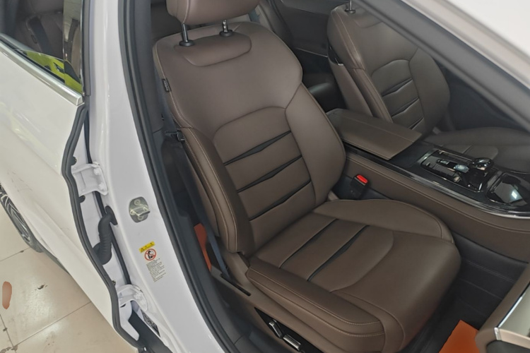 BYD Han 2021 immagine di auto #24