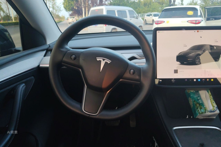 Tesla Model Y 2023 car image #12