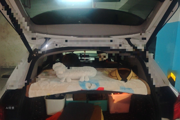 BMW X1 2017 #21 BMW X1 2017 car image #21