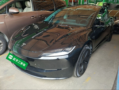 Tesla Model 3 2024 car image 