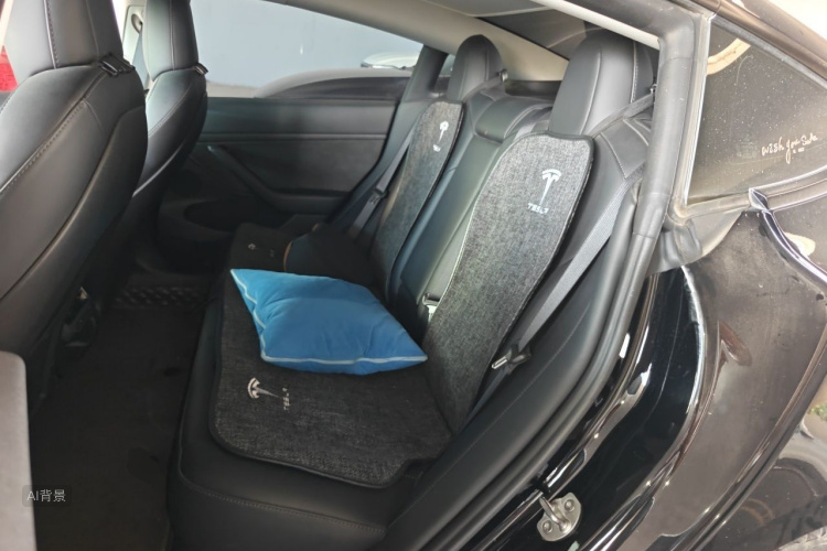 Tesla Model 3 2023 car image #19