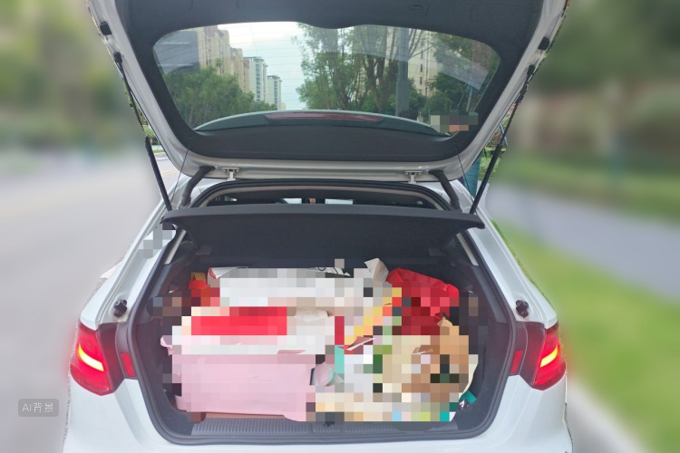 Audi A3 2015 car image #21