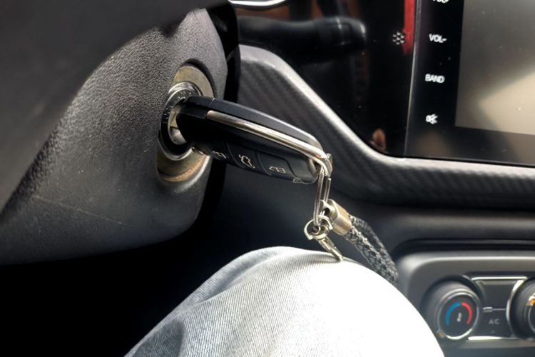 Chery Tiggo 3x 2020 car image #9