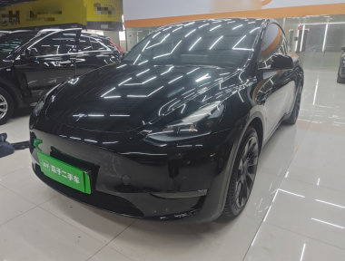 Tesla Model Y 2021 car image 