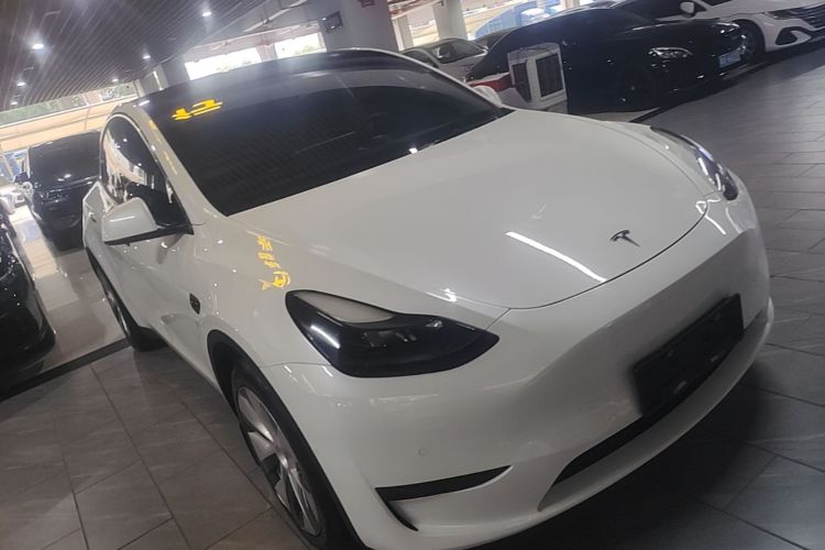 Tesla Model Y 2023 #6 Tesla Model Y 2023 car image #6