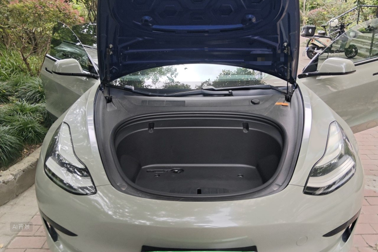 Tesla Model 3 2020 car image #22