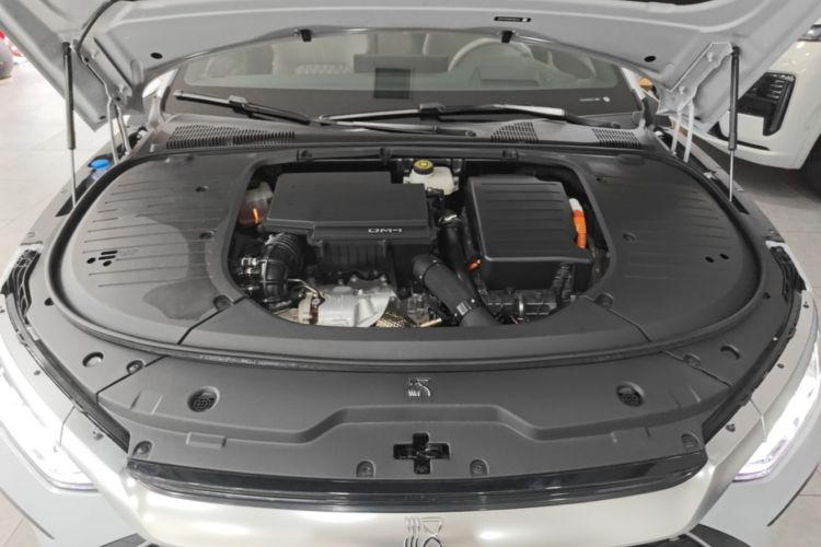 BYD Han 2024 car image #20
