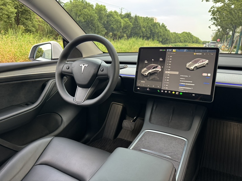 Tesla Model Y 2024 car image #7