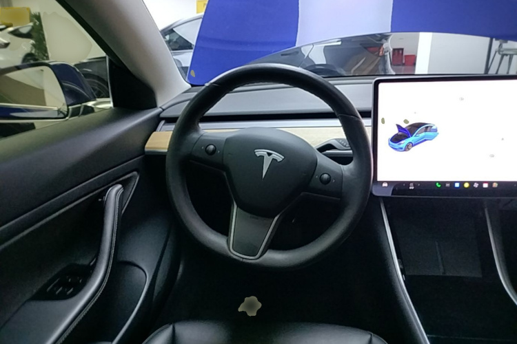 Tesla Model 3 2020 car image #11