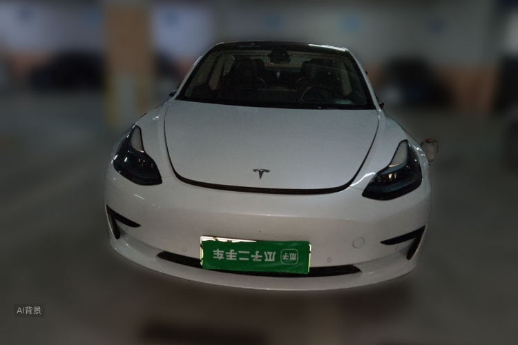 Tesla Model 3 2022 #3 Tesla Model 3 2022 car image #3