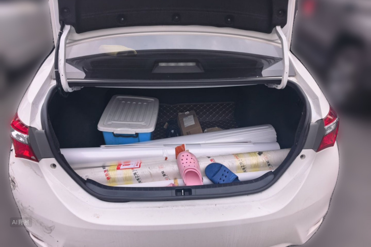 Toyota Corolla 2017 car image #21