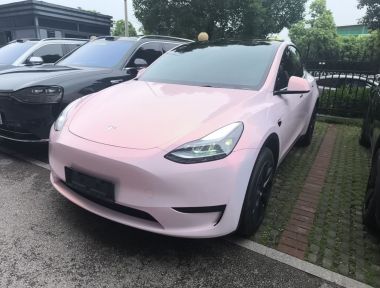 Tesla Model Y 2024 car image 