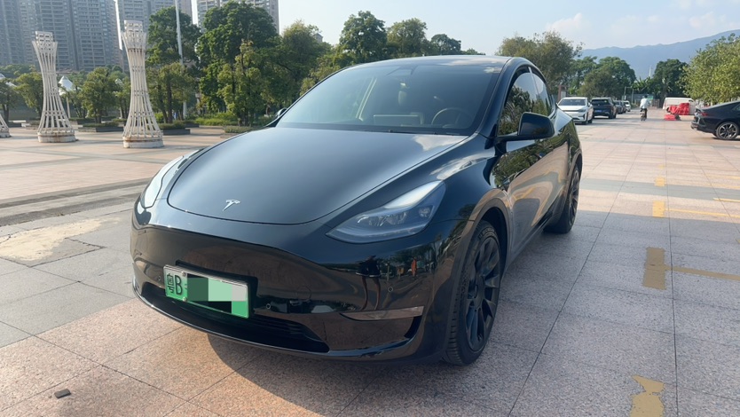 Tesla Model Y 2021 Tesla Model Y 2021 car image