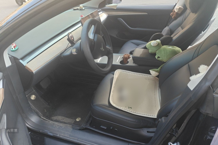 Tesla Model 3 2022 car image #18