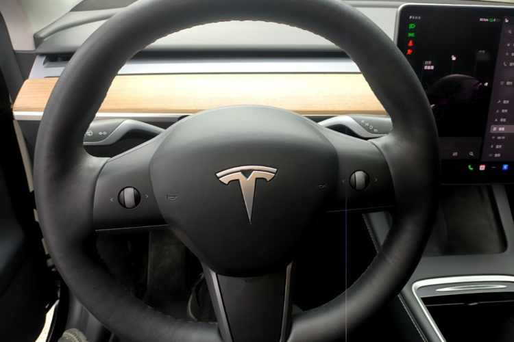 Tesla Model Y 2021 car image #11