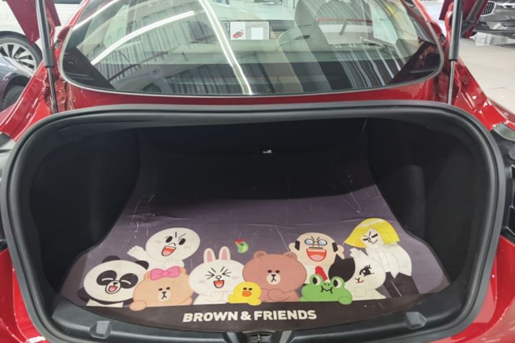 Tesla Model 3 2020 car image #19
