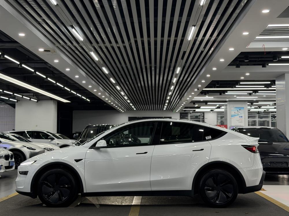 Tesla Model Y 2025 car image #4