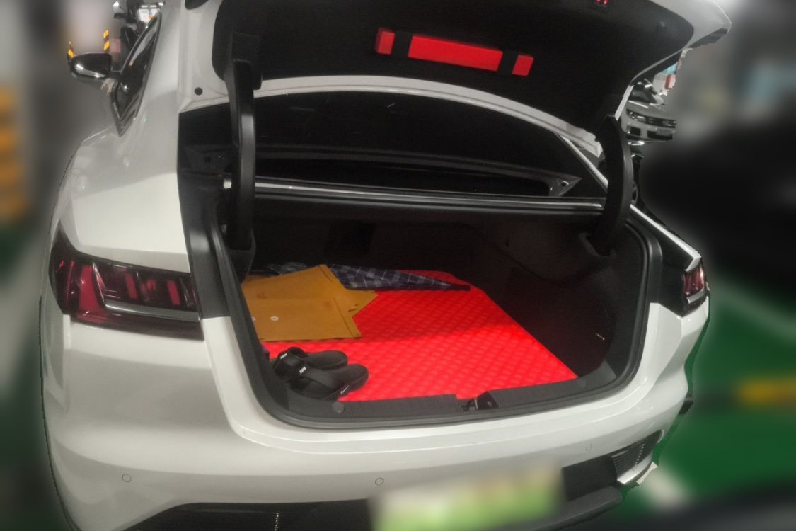 BYD Han 2021 #8 BYD Han 2021 imagen de coche #8