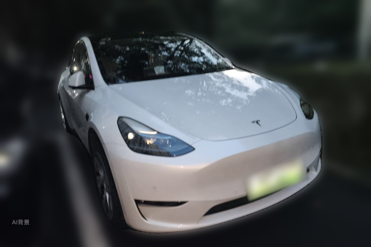 Tesla Model Y 2021 #4 Tesla Model Y 2021 car image #4