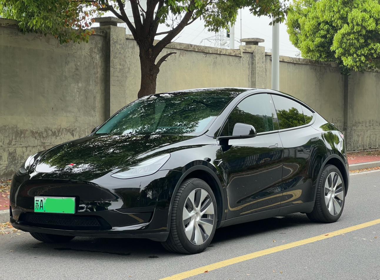 Tesla Model Y 2023 car image 