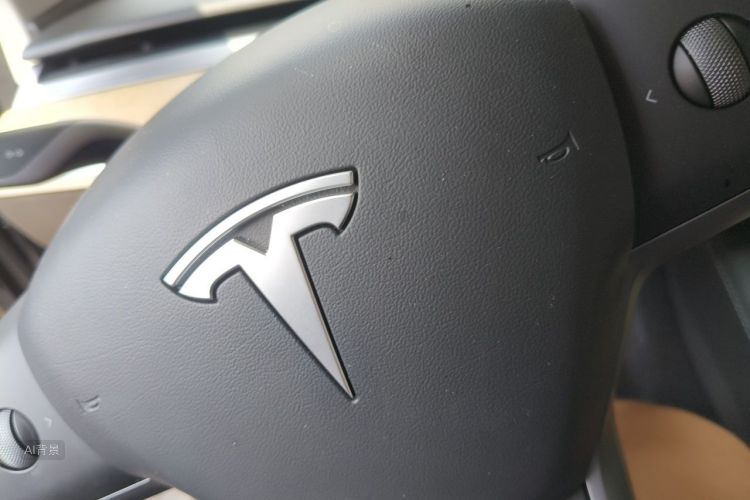 Tesla Model 3 2021 car image #10