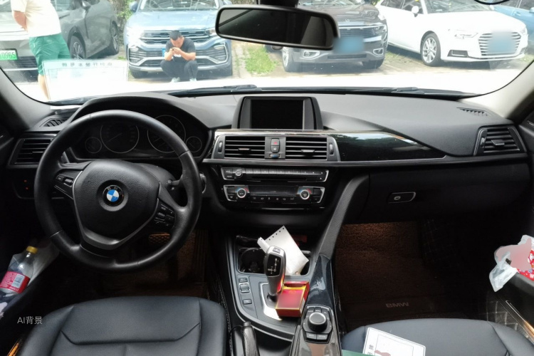 BMW 3 Series 2016 car image #11