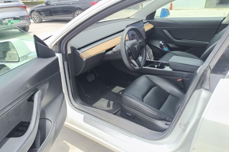 Tesla Model 3 2020 car image #16