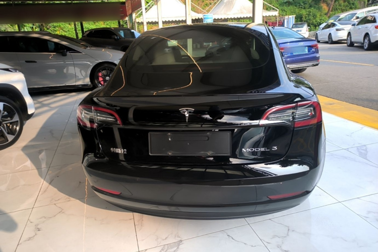 Tesla Model 3 2021 immagine di auto #6