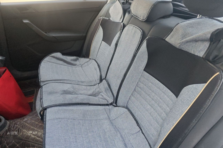 Volkswagen Santana 2019 car image #19