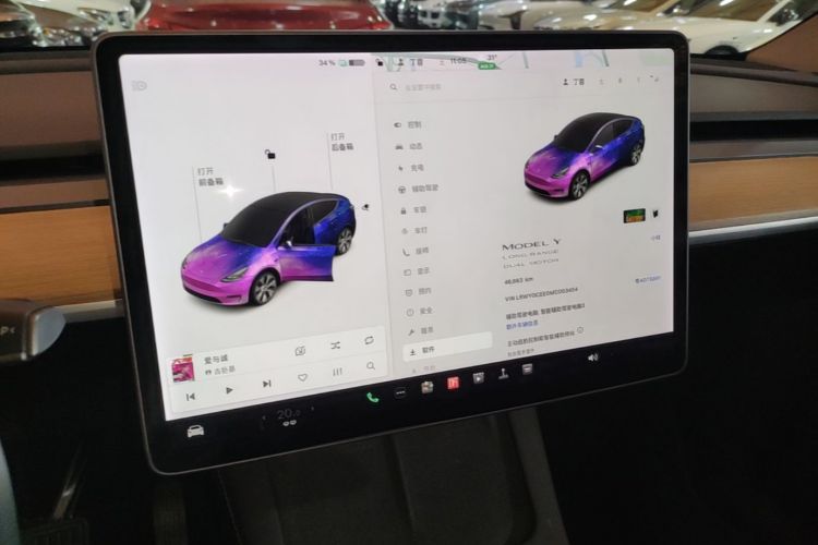 Tesla Model Y 2021 car image #13