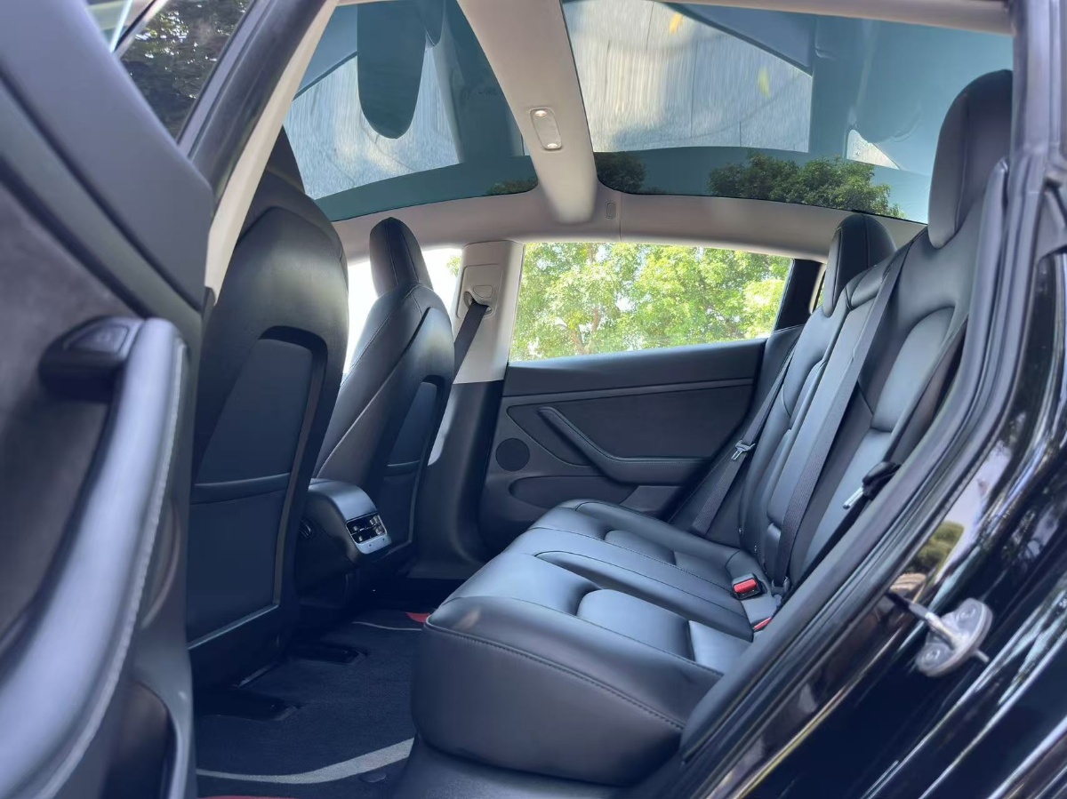 Tesla Model 3 2021 #6 Tesla Model 3 2021 car image #6