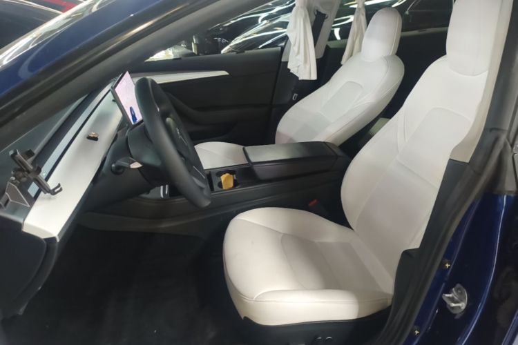 Tesla Model 3 2021 #19 Tesla Model 3 2021 car image #19