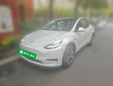 Tesla Model Y 2023 Tesla Model Y 2023 car image