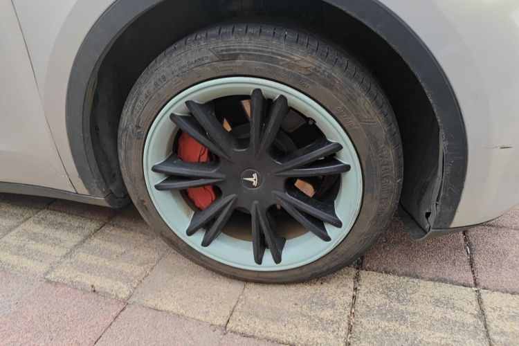 Tesla Model Y 2021 car image #9