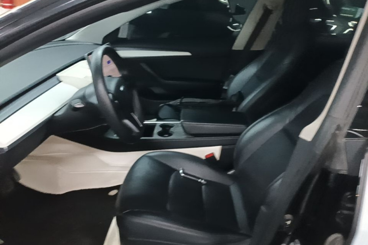 Tesla Model 3 2022 car image #15