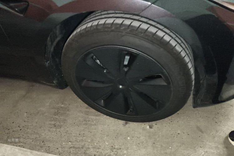 Tesla Model 3 2025 car image #9