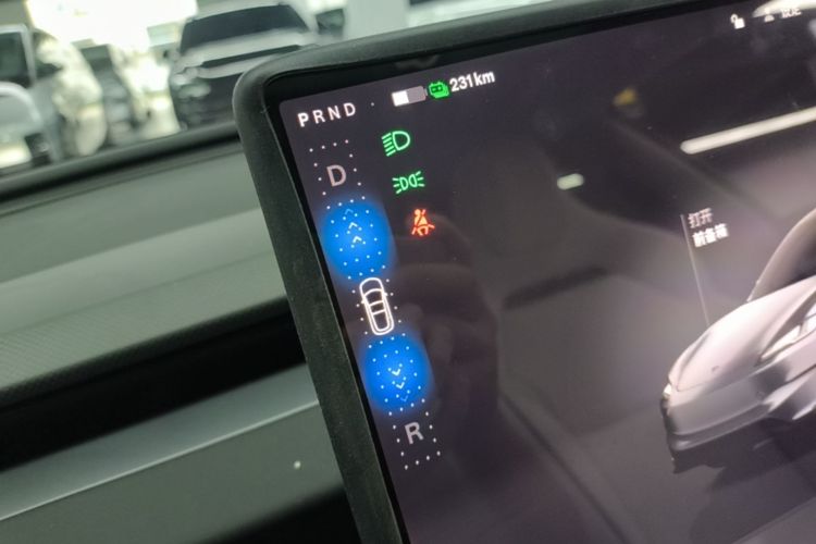 Tesla Model 3 2024 car image #14