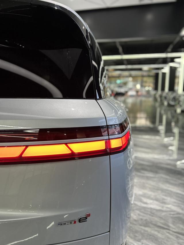 Denza N9 2025 car image #49