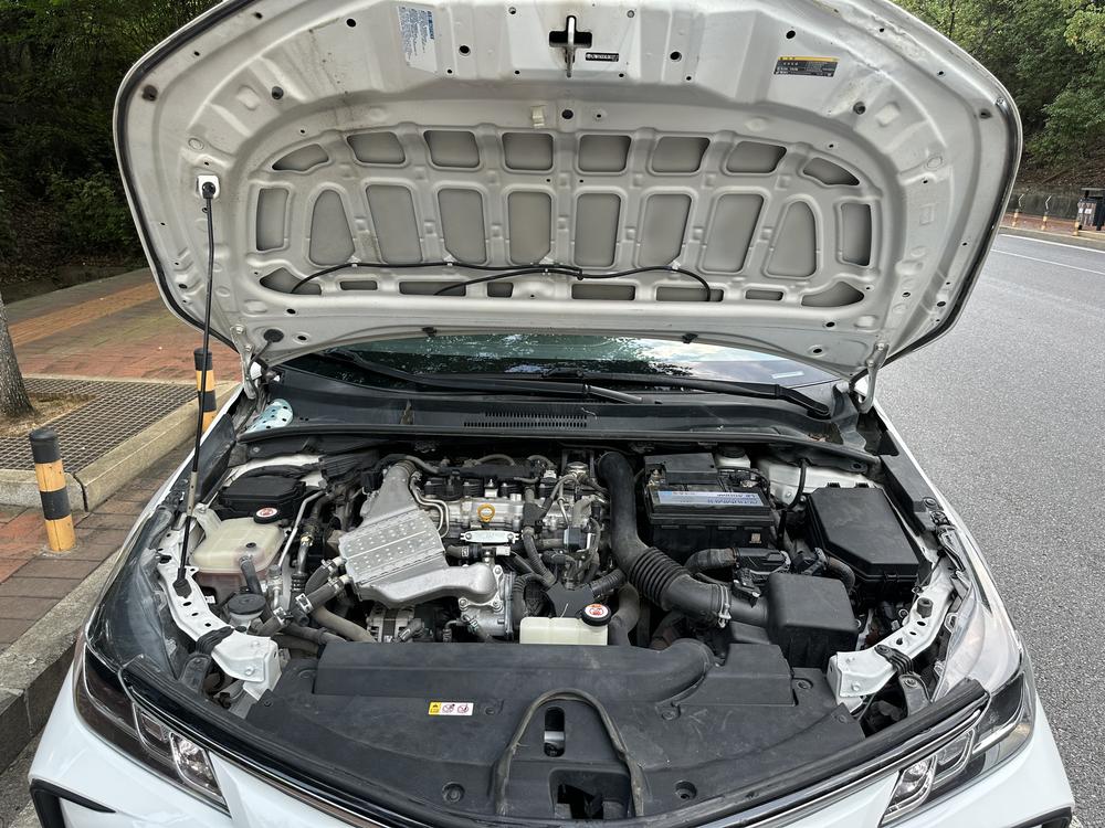 Toyota Corolla 2020 #8 Toyota Corolla 2020 car image #8