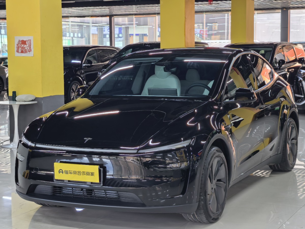 Tesla Model Y 2025 car image 