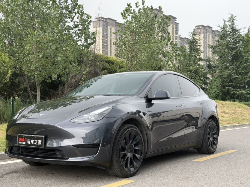 Tesla Model Y 2024 car image 