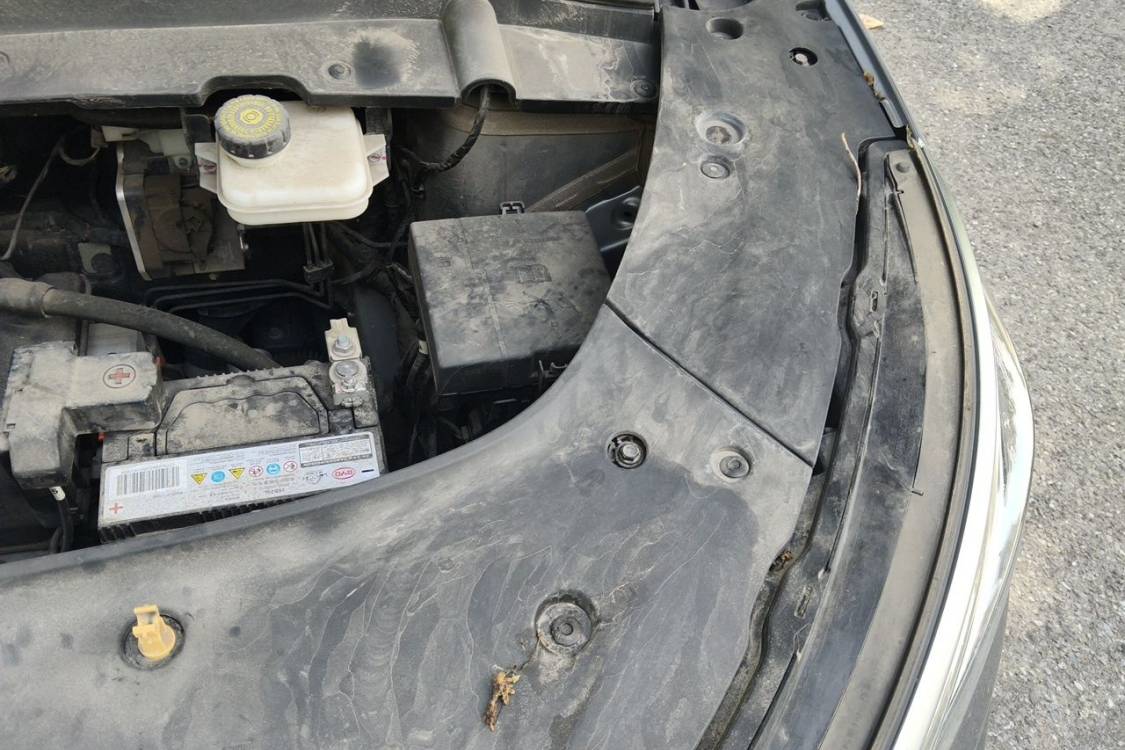 BYD Yuan Plus 2023 car image #12